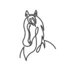 Our team is highly-qualified and specializes in multiple areas of equine care.