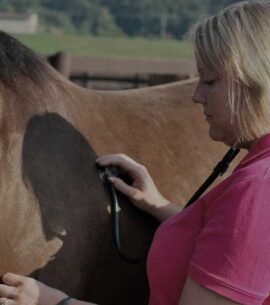 Physical Exams & Vaccinations