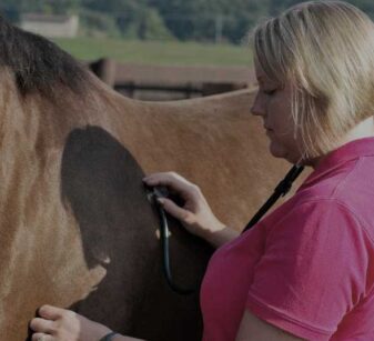 Equine Preventative Care