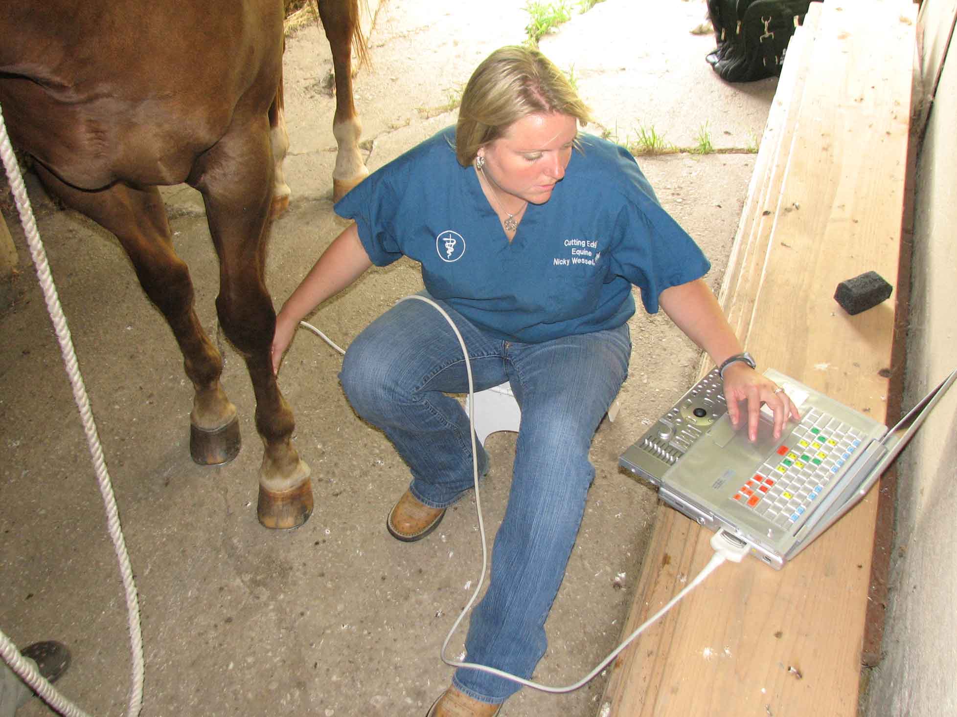 Dr. Nicky Ultrasound Equine
