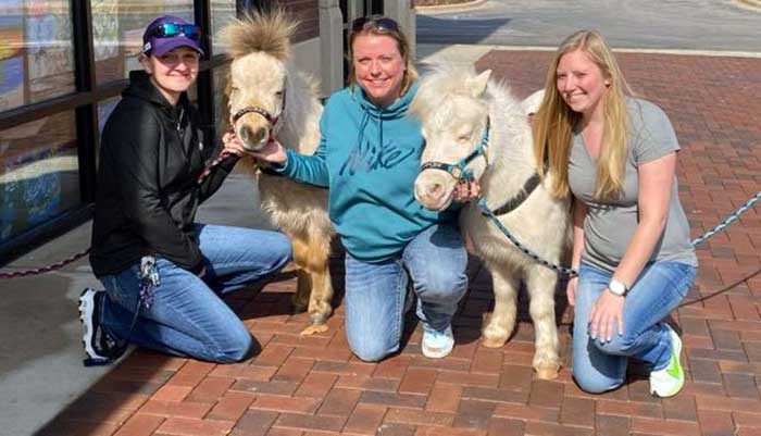 Your Cutting Edge Equine Team