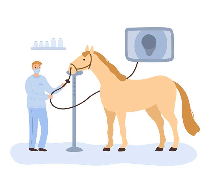 svc_equine_endoscopy