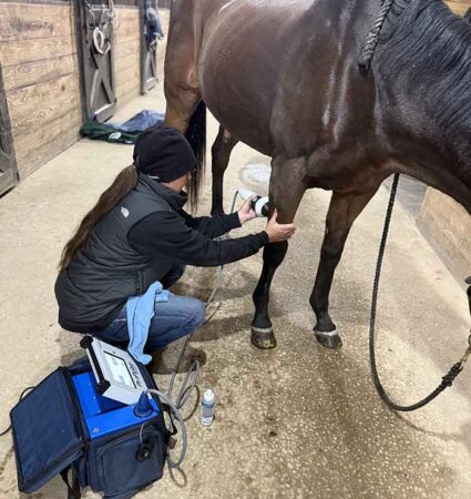 shockwave therapy equine