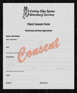 Client Consent Form