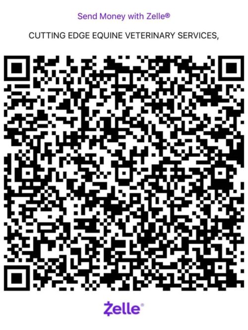 QR for Zelle Payment